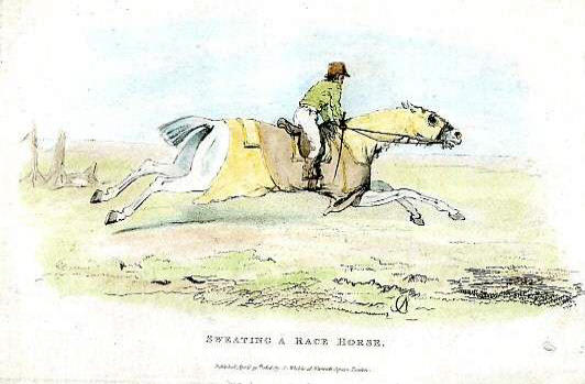 Sweating a race horse in 1816